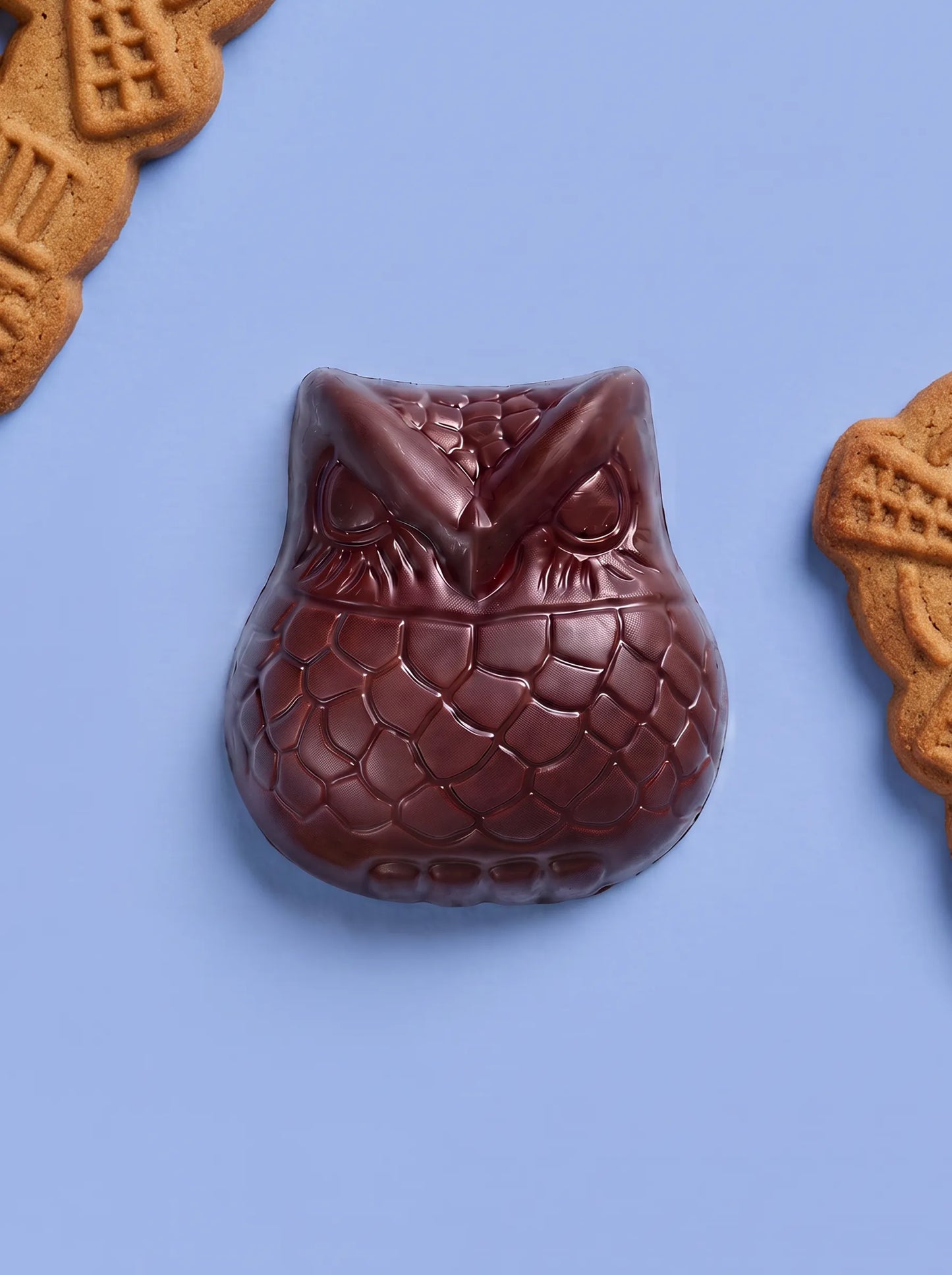 Speculoos Owl