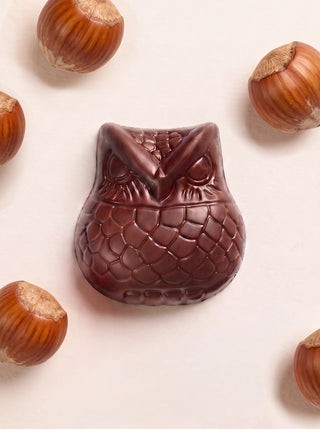 Hazelnut Crisp Owl